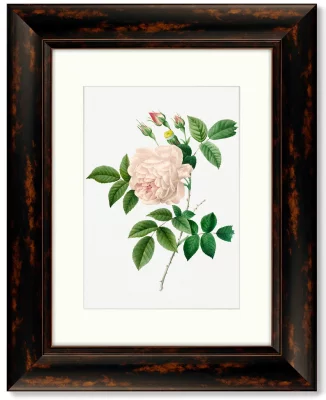 Диптих Antique plants drawn 41X51 / 41X51 CM 3