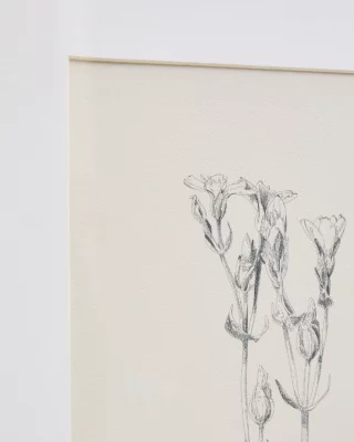 Картина с ботанической иллюстрацией Lirena 50X70 CM 5