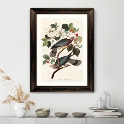 Постер Band-tailed Pigeon 81X61 CM 3