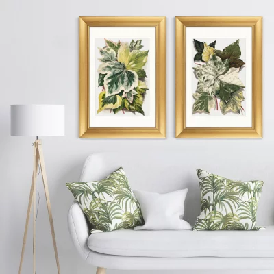 Диптих Various Ivy Leaves from The Ivy 51X71 / 51X71 CM 5