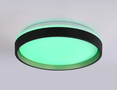 Накладной светильник Ambrella Light FZ604 4