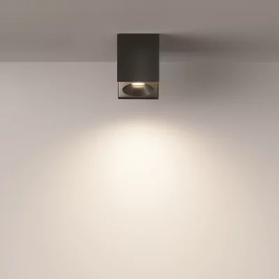 Накладной потолочный светильник Зум 9X9X11.5 CM 5