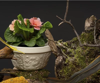 Чаша Birds Of Paradise 850 ml 4
