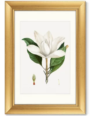 Диптих Antique plants drawn 51X71 / 51X71 CM 3