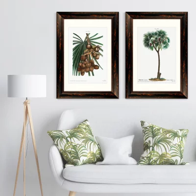 Диптих Date palm Phoenix dactylifera from Traité 51X71 /51X71 CM 5