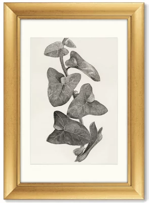 Диптих Melanocarpa from The Ivy 51X71 / 51X71 CM 3