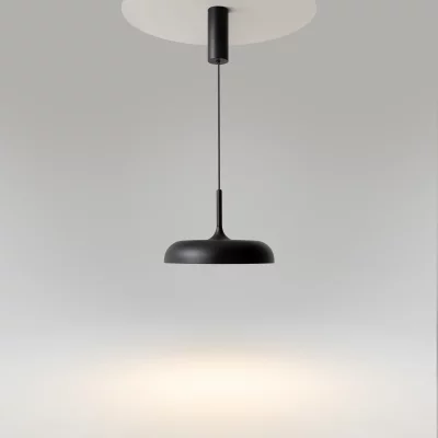 Подвесной светильник Герхард 30X300 CM 13