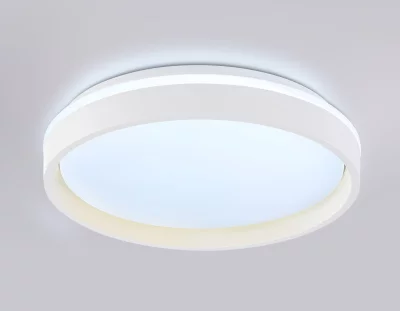 Накладной светильник Ambrella Light FZ601 15