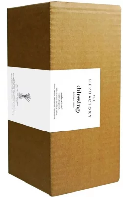 Диффузор ароматический The Olphactory Blessing Dark Amber 500 ml 3