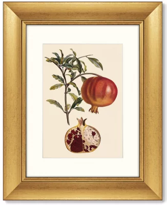 Диптих Juicy fruit lithography 41X51 / 41X51 CM 4