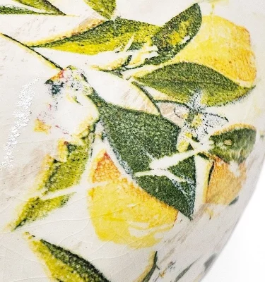 Ваза Lemon  21X21X13 CM 9