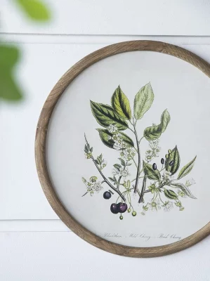 Комплект из четырёх панно Flora Ø50 CM 15