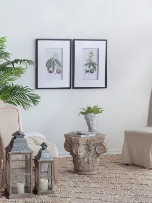 Комплект из двух постеров Flora 50X70 / 50X70 CM 4