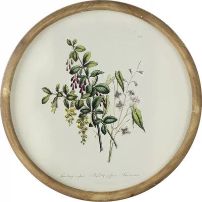 Постеры Flora Ø50 / Ø50 / Ø50 / Ø50 CM 4