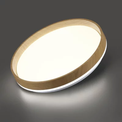 Накладной светильник Gari 4
