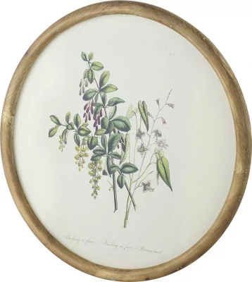 Комплект из четырёх панно Flora Ø50 CM 11