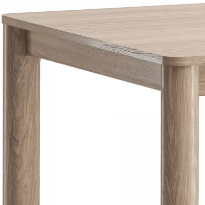 Обеденный стол Bergen 200X100X75 CM 4