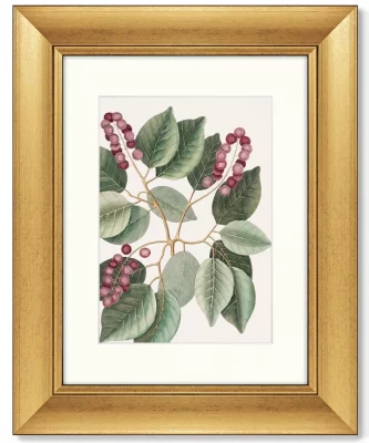 Диптих Pigeon-Plum 41X51 / 41X51 CM 3