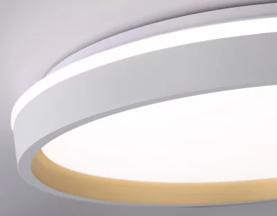 Накладной светильник Ambrella Light FZ607 9