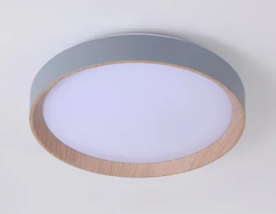 Накладной светильник Ambrella Light FZ1320 7