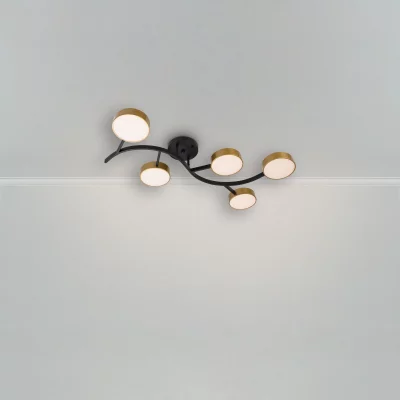 Потолочный светильник Тибо 88X88X12 CM 8