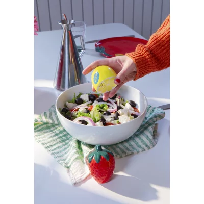 Набор из солонки и перечницы lemonberry 4