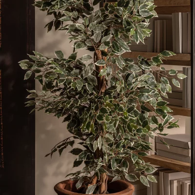 Искусственное растение Ficus 80X70X175 CM 5