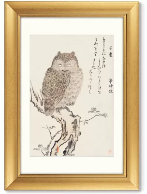 Диптих Smart owl watching 51X71 / 51X71 CM 4