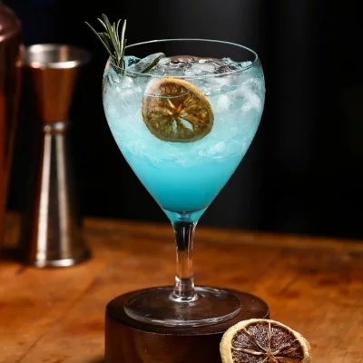 Бокал для коктейля Sangria Cocktail Week 335 ml 7