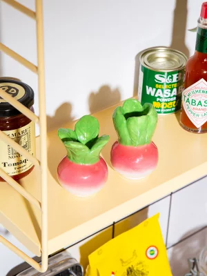 Набор из солонки и перечницы radish 7