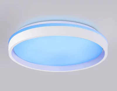 Накладной светильник Ambrella Light FZ607 5