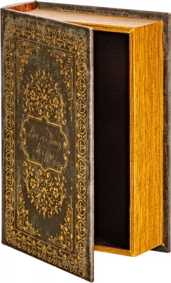 Шкатулка в виде книги Parthalan 19X7X27 CM 9