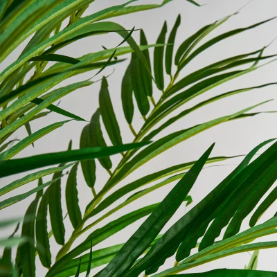 Искусственная пальма Palmera 50X40X210 CM 3
