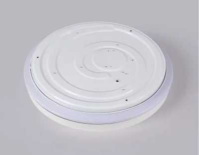 Накладной светильник Ambrella Light FZ601 10