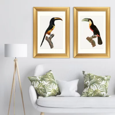 Диптих Beautiful toucans 51X71 / 51X71 CM 5