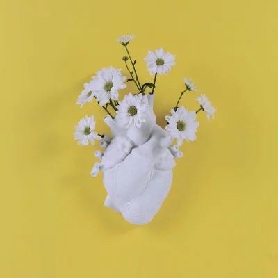 Фарфоровая ваза Love in Bloom 17X9X25 CM 7