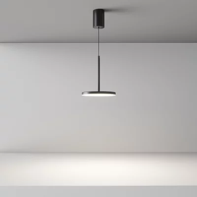 Подвесной светодиодный светильник Plato 185X1950 CM 13
