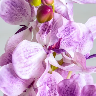 Цветок искусственный Orquidea 76 CM 3