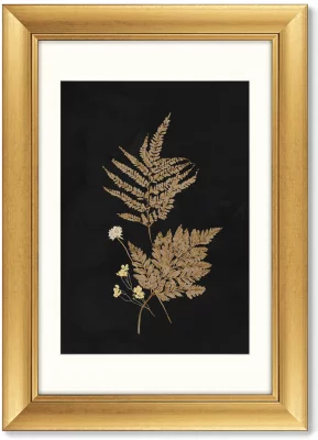 Триптих Flower herbarium No1 51X71 / 51X71 / 51X71 CM 4