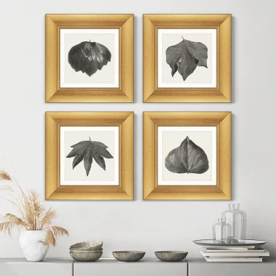 Набор из 4-х картин The Ivy leaves 36X36 / 36X36 / 36X36 / 36X36 CM 7