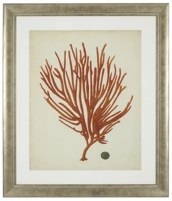 Постеры Antique Red Corals 68X58 / 68X58 / 68X58 / 68X58 / 68X58 / 68X58 CM 5