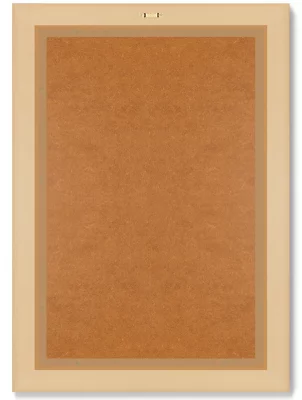 Диптих Antique plants drawn 51X71 / 51X71 CM 8
