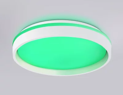 Накладной светильник Ambrella Light FZ601 16