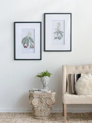 Комплект из двух постеров Flora 50X70 / 50X70 CM 6