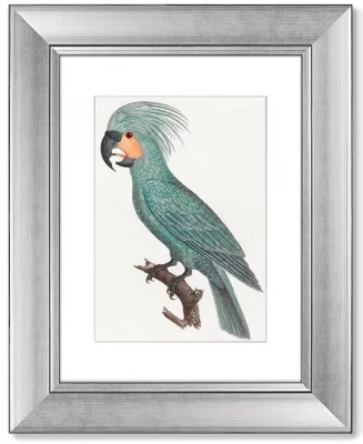 Диптих The Palm Cockatoo 41X51 / 41X51 CM 4