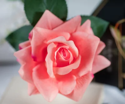 Аромадифузор French Rose 11X11X16 CM 4