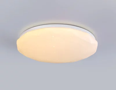 Накладной светильник Ambrella Light FZ417 14