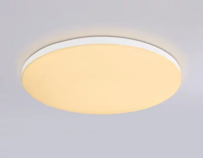 Накладной светильник Ambrella Light FZ2001 7