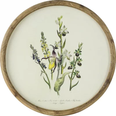 Постеры Flora Ø50 / Ø50 / Ø50 / Ø50 CM 5