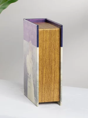 Шкатулка в виде книги Prain and Prejudice 14X6X20 CM 4